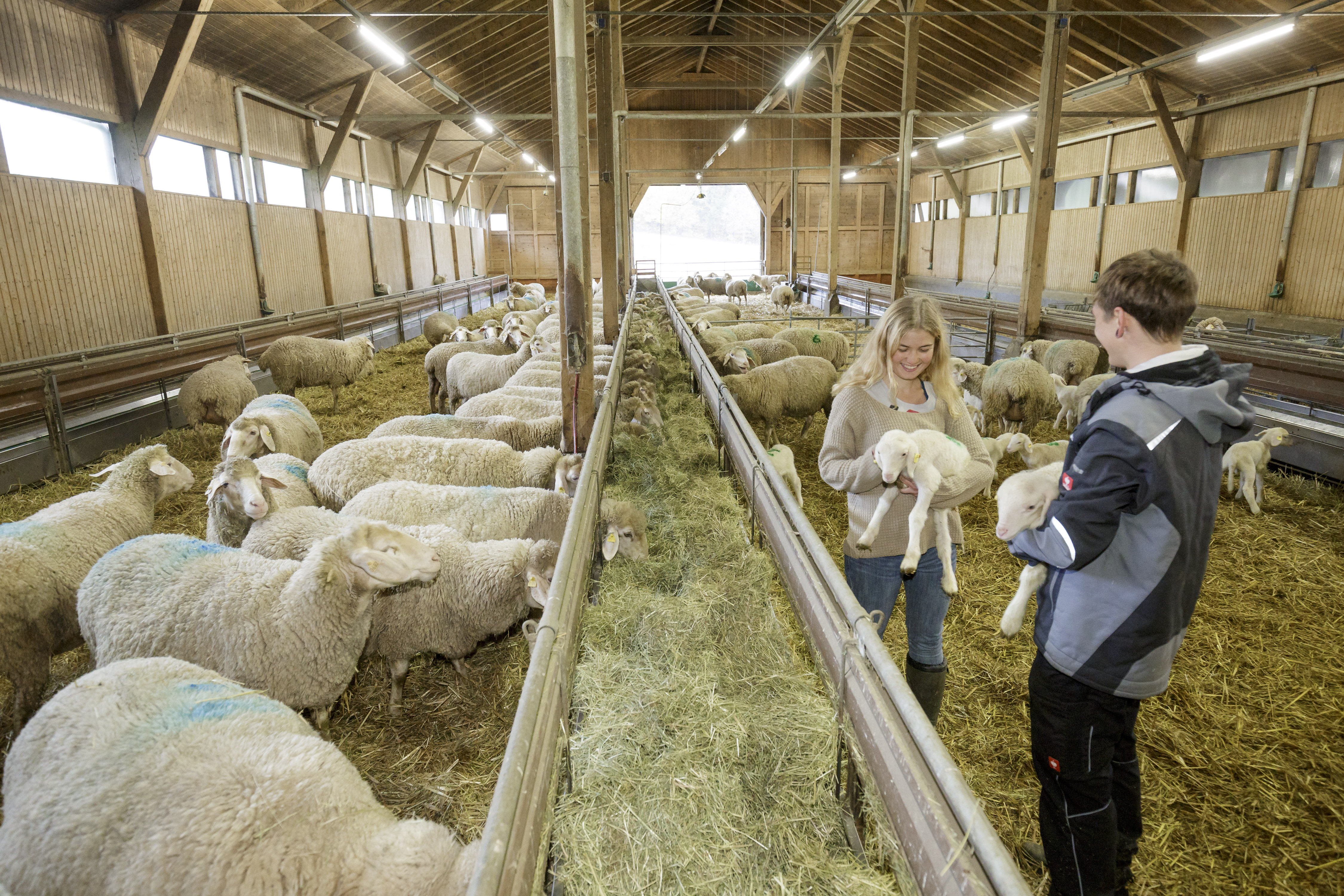 Ausbildung 2 Männer auf einem Feld